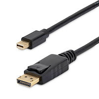 10ft Mini-DisplayPort to DisplayPort M/M