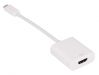 USB-C to HDMI Adapter M/F