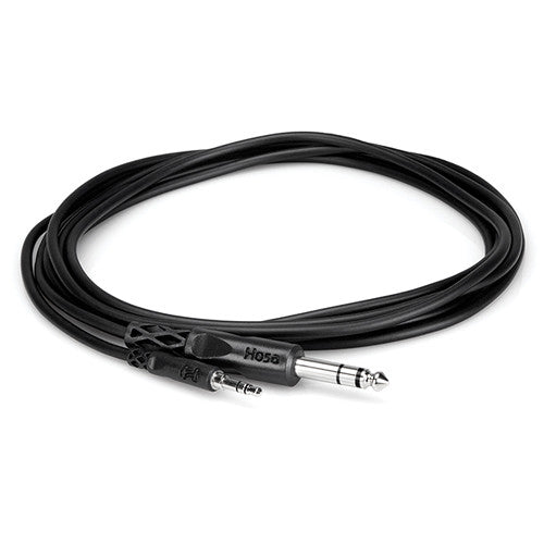 10ft Mini Male to Stereo 1/4" Male Cable